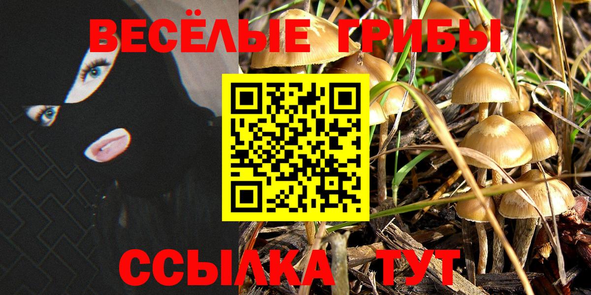 Галлюциногенные грибы мухоморы  Вход с VPN  Белгород 