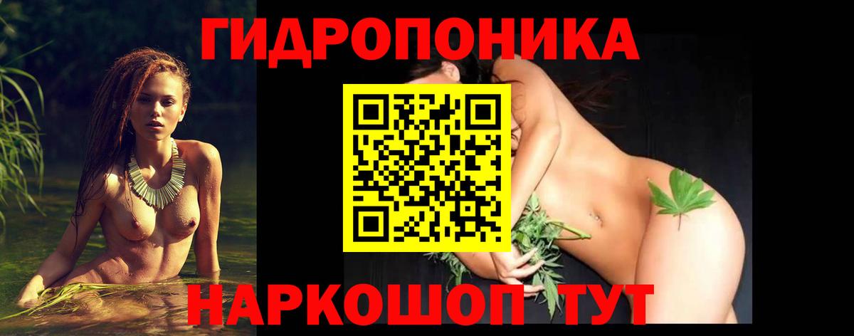 Шишки марихуана семена Белгород